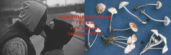 крисы Богданович