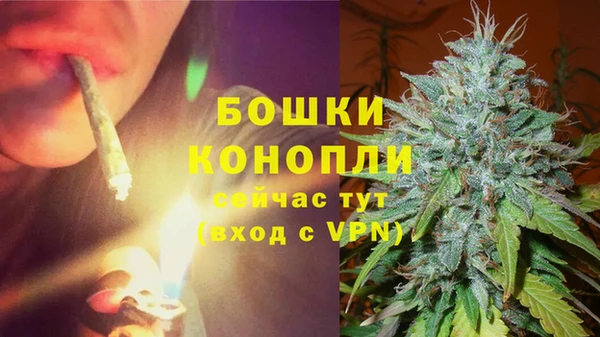 крисы Богданович