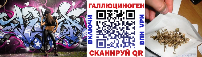 ОМГ ОМГ как зайти  Донецк  Галлюциногенные грибы Cubensis 